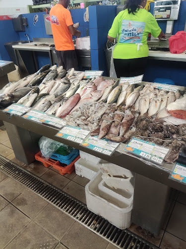 Mercado Municipal de Altura - Altura