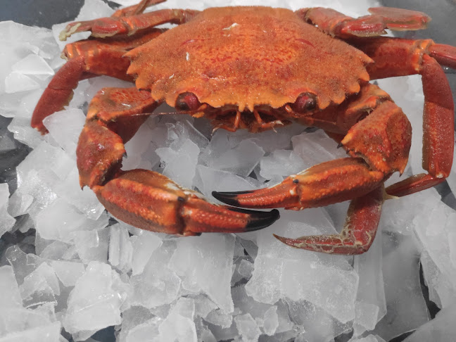 Comentarii opinii despre Mercearia do Fanqueiro by Vítor Palmilha