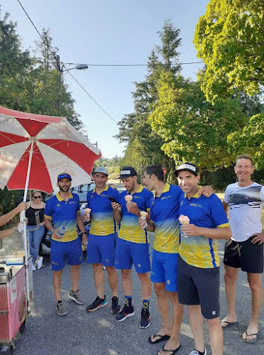 Cardona e Cardona, Lda - Dominguizo