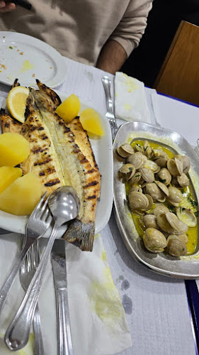 Comentarii opinii despre Aviz