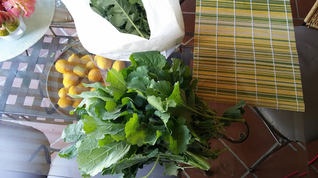 Opinii despre Café Central în Beja - Gastronomia e hotelaria