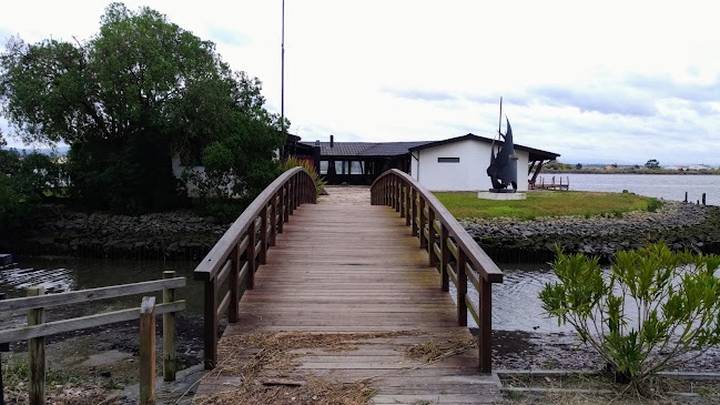 Comentarii opinii despre Areinho Bar