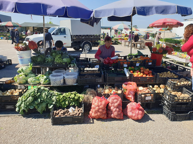 Feira da Palhaça - Palhaça