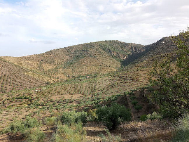 Barca D'Alva - Gastronomia e hotelaria