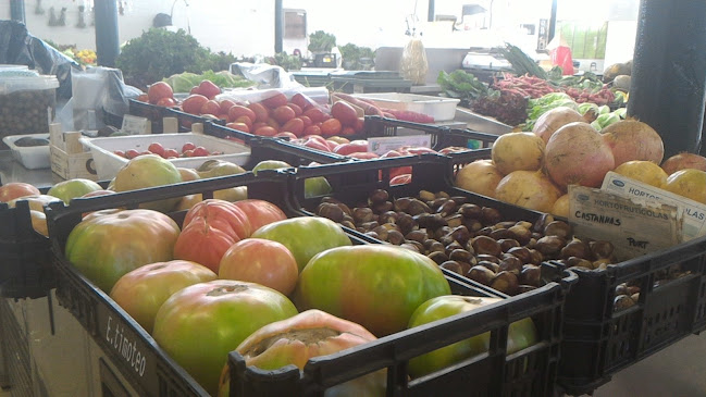 Mercado Municipal de Lagoa - Gastronomia e hotelaria