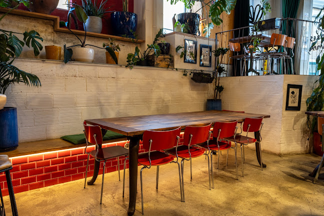 Comentarii opinii despre Flores da Pampa