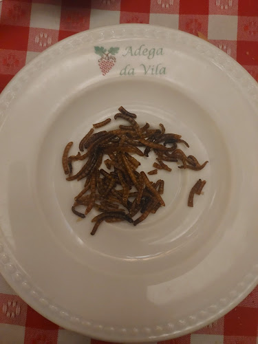 Restaurante Adega Da Vila - Gastronomia e hotelaria