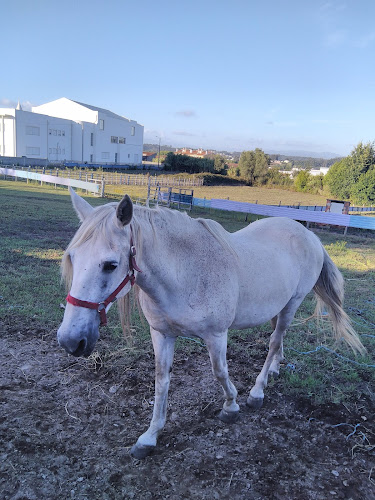 Chill In - Gastronomia e hotelaria