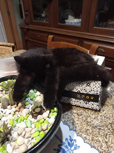 Cafe Lima - Guimarães