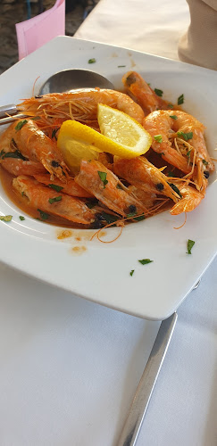 Comentarii opinii despre Buxa