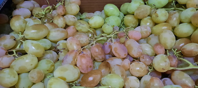 2560-629 Torres Vedras