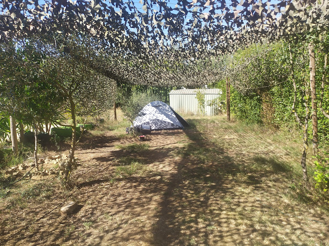 Opinii despre Casa Falcão în Montemor-o-Novo - Gastronomia e hotelaria