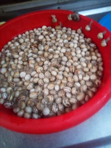 Opinii despre Restaurante Morabeza în Almada - Gastronomia e hotelaria