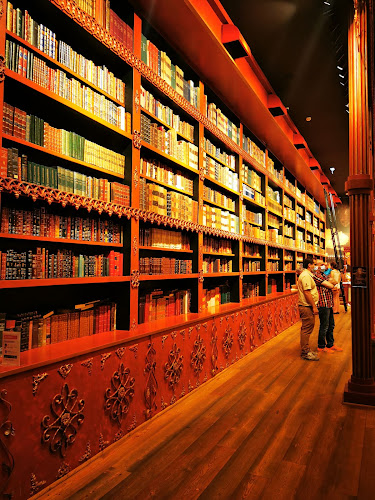 Comentarii opinii despre DeCastro Gaia