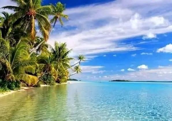 Snack-Bar O Pinheiro