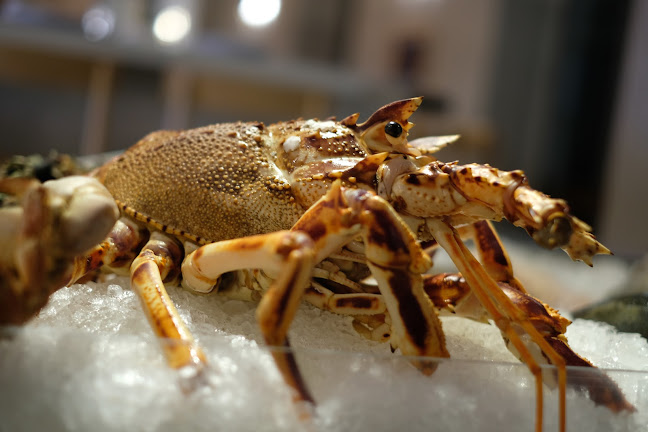 Comentarii opinii despre Ostras & Coisas