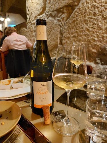 Comentarii opinii despre Apego