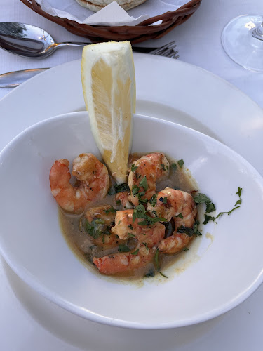 Comentarii opinii despre O Dragoeiro