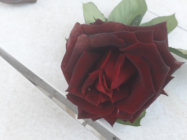 Azeitada Benf Ribatejo, Benfica Do Ribatejo, Santarém