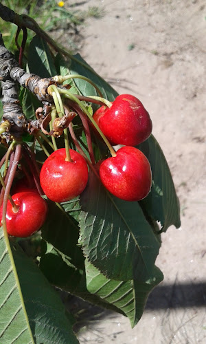 Edicinfães Construções, Unipessoal Lda. - Marco de Canaveses