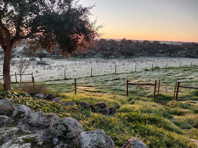 Opinii despre O Restaurante O Goleta - Codillo în Santa Eulália - Gastronomia e hotelaria