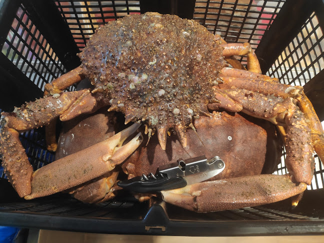 Opinii despre Mercearia do Fanqueiro by Vítor Palmilha în Loures - Gastronomia e hotelaria