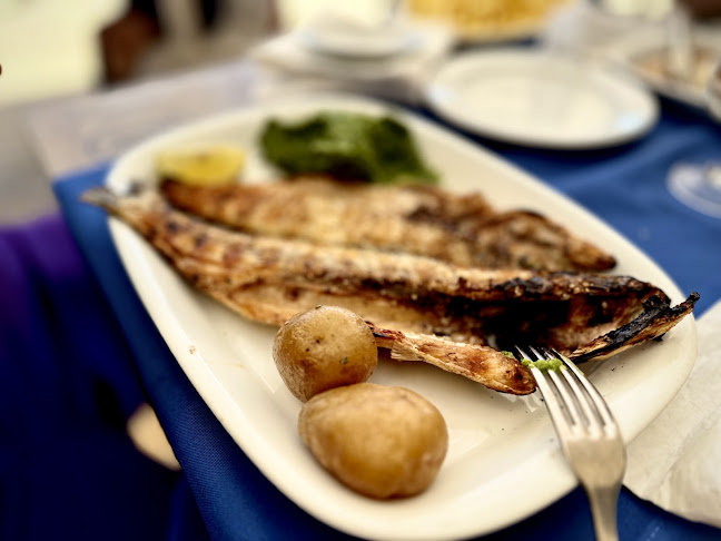 A Vela / Associação Regional de Vela do Centro - Lisboa