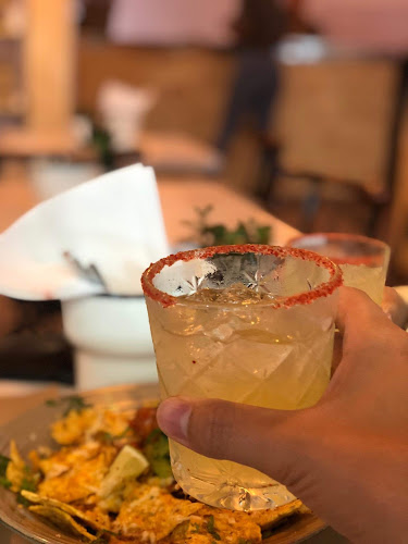 Comentarii opinii despre Gringo