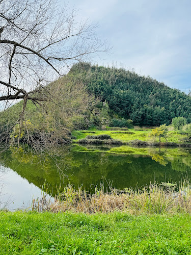 RESTAURANTE MONDEGO - Natália Henriques UNIP. LDA - Gastronomia e hotelaria