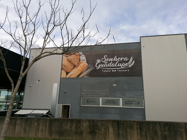 R. Dr. Francisco Sá Carneiro, 4740-473 Esposende