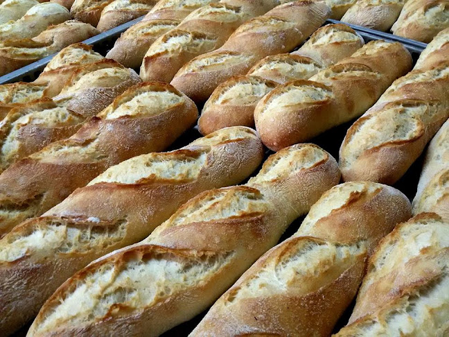 Opinii despre Padaria Trigo Doce Lda în Lisboa - Gastronomia e hotelaria