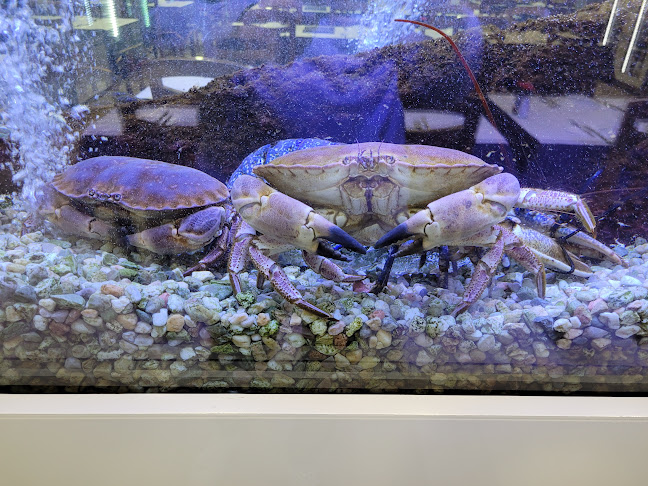 O Nosso Prego Restaurante & Cervejaria - Costa da Caparica