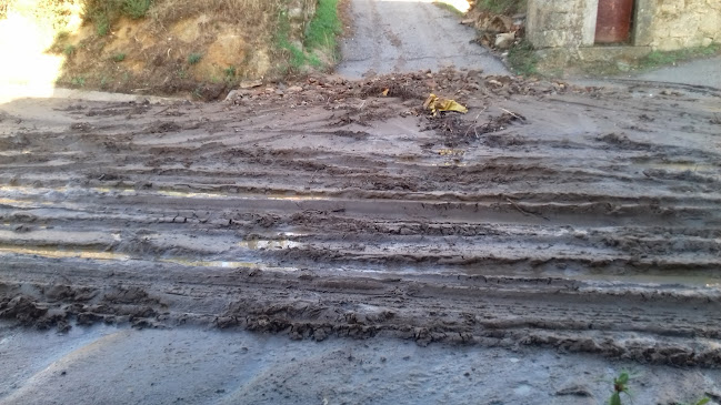 Comentarii opinii despre Café Restaurante Cerejal