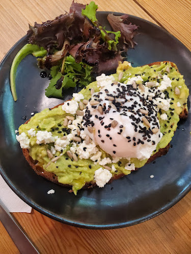 Comentarii opinii despre Selva