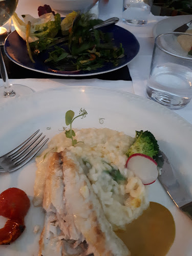 Comentarii opinii despre Flow