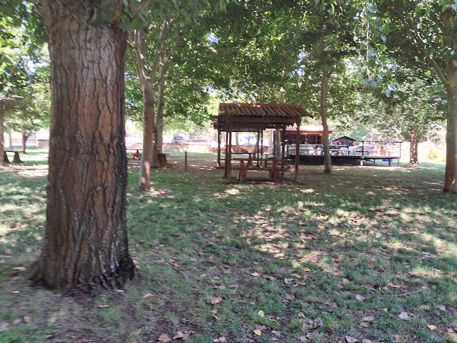 Opinii despre Bar do Côa în Miuzela - Gastronomia e hotelaria