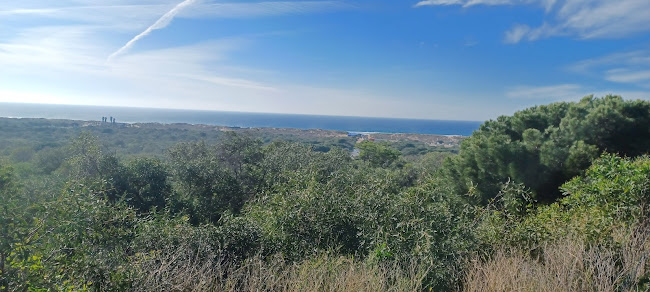 Comentarii opinii despre O Praia do Rei