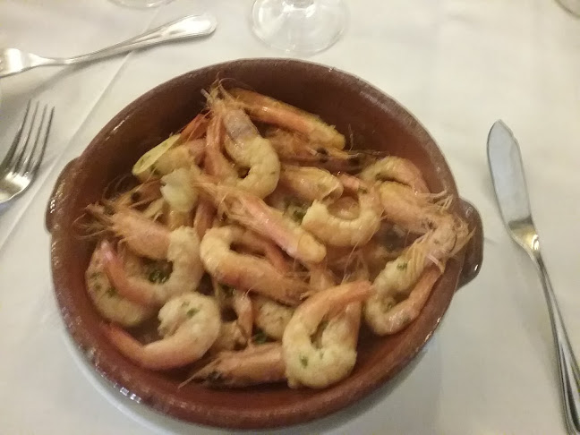 Comentarii opinii despre Don Sebastião