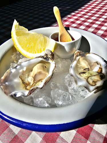 Comentarii opinii despre 490 Taberna STB