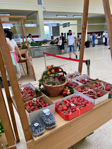 Comentarii opinii despre Mercado Municipal Polivalente Osmaro Ferreira