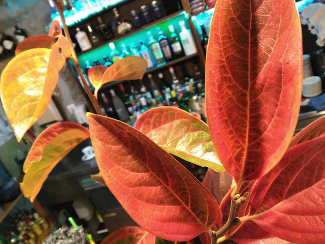 Bar do Monte - Gastronomia e hotelaria