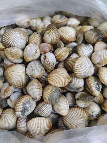 Kikos Café Restaurante - Gastronomia e hotelaria