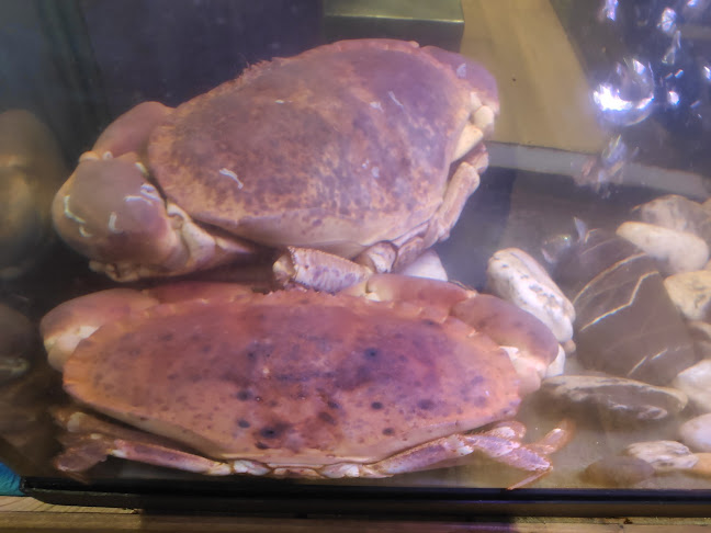 Rua Francisco Canas 23, 2660-500 Santo Antão do Tojal, 2660-500 Loures