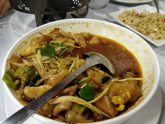 Comentarii opinii despre Fundação