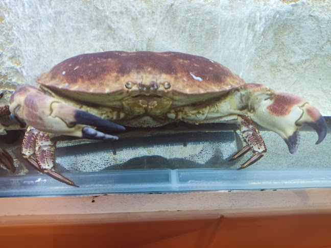 Mercearia do Fanqueiro by Vítor Palmilha