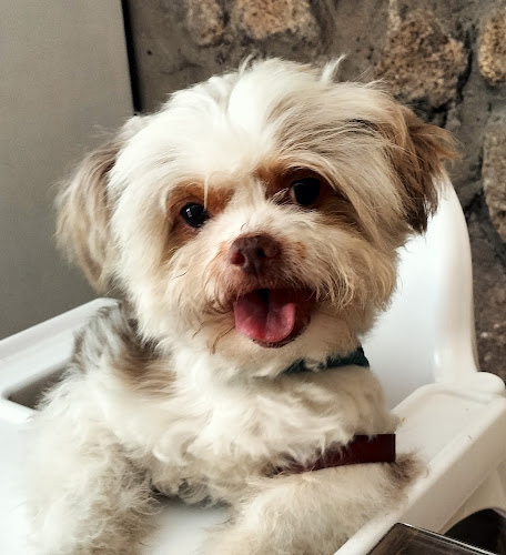 Campo dos Mártires da Pátria 64, 4250-366 Porto