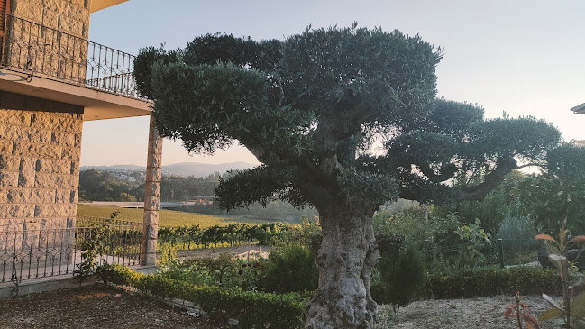 Opinii despre Café Casal în Guimarães - Gastronomia e hotelaria