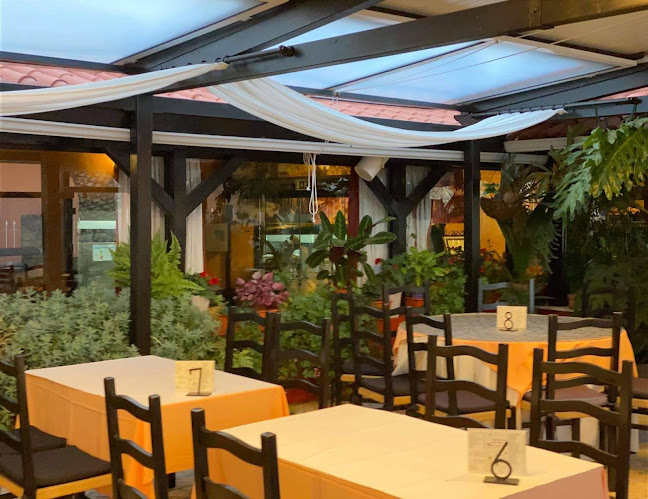 O Gato - Gastronomia e hotelaria