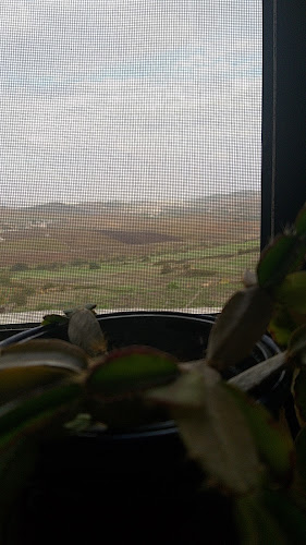 Retiro Do Caçador - Arruda dos Vinhos