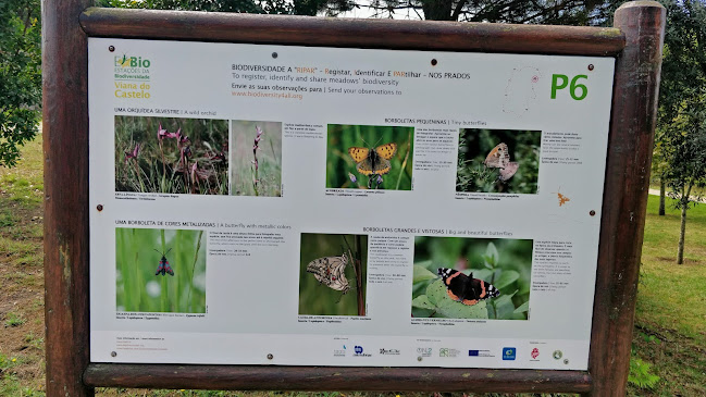 Opinii despre Restaurante Don Prior în Viana do Castelo - Gastronomia e hotelaria